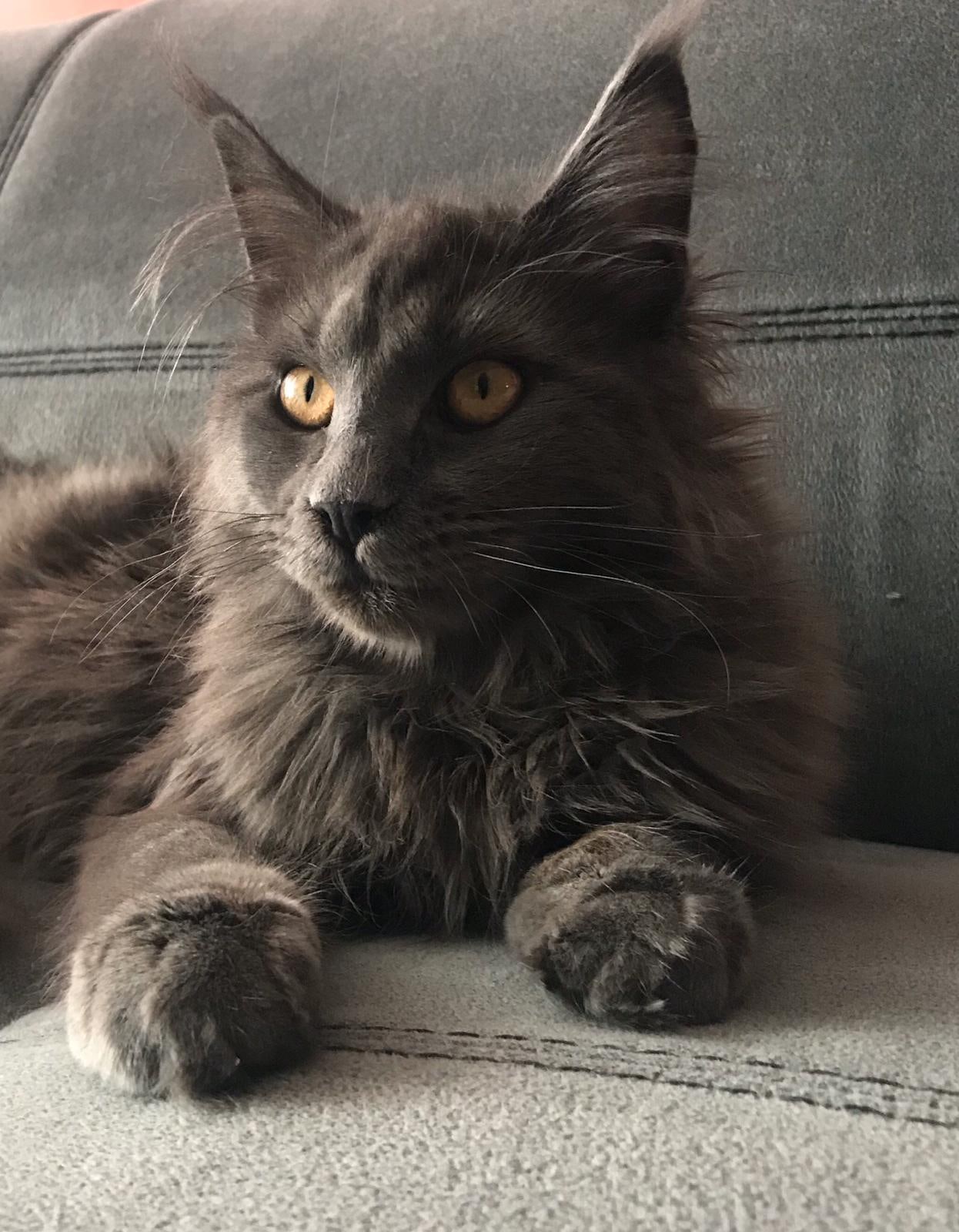 Так, надо сделать сонный вид, будто я не хулиганил