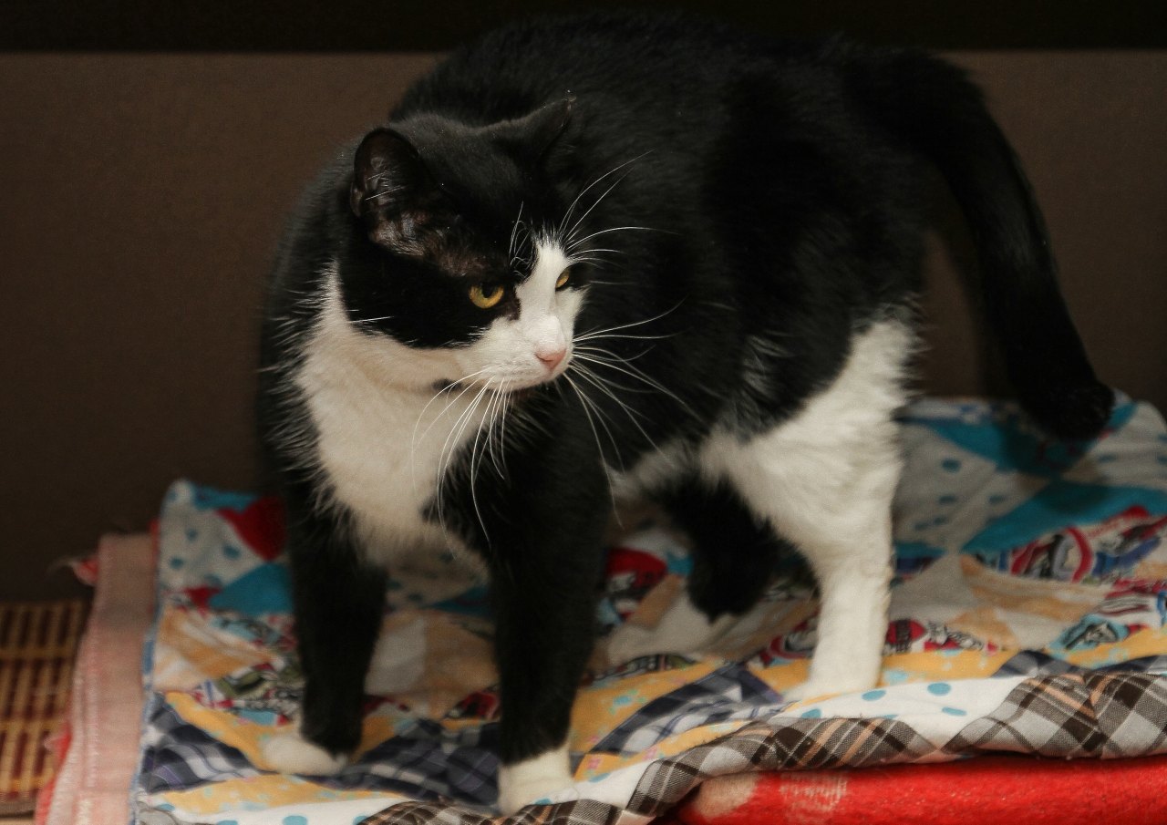 Кто там орёт, пойду разберусь