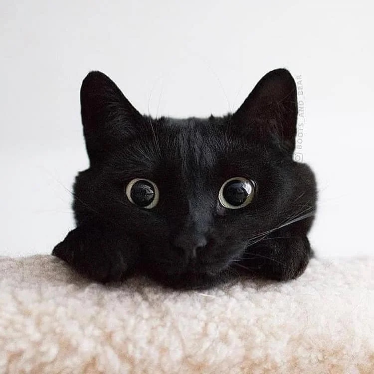 Я вот жду, когда же вы выспитесь