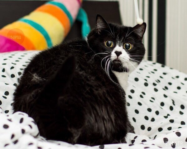 Зачем мне рано вставать, мне же на работу не идти