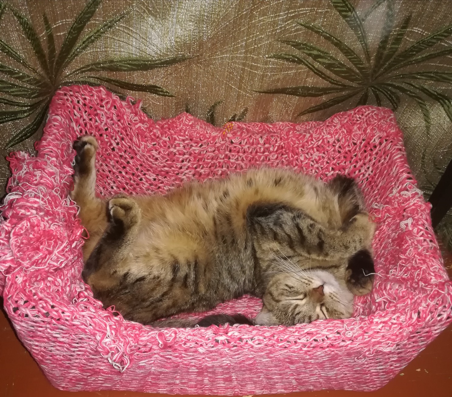 После трудного дня, полагается поспать