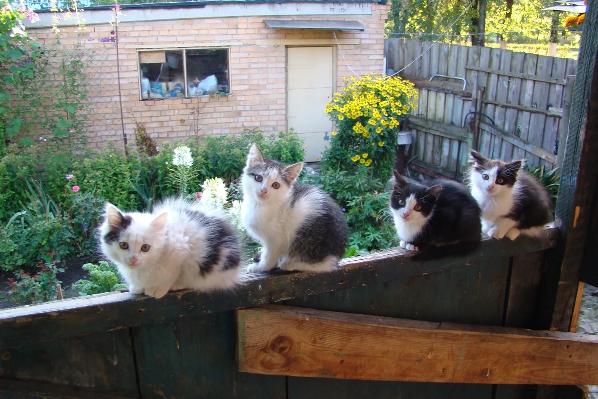 Ваську позовите, он нам алименты задолжал