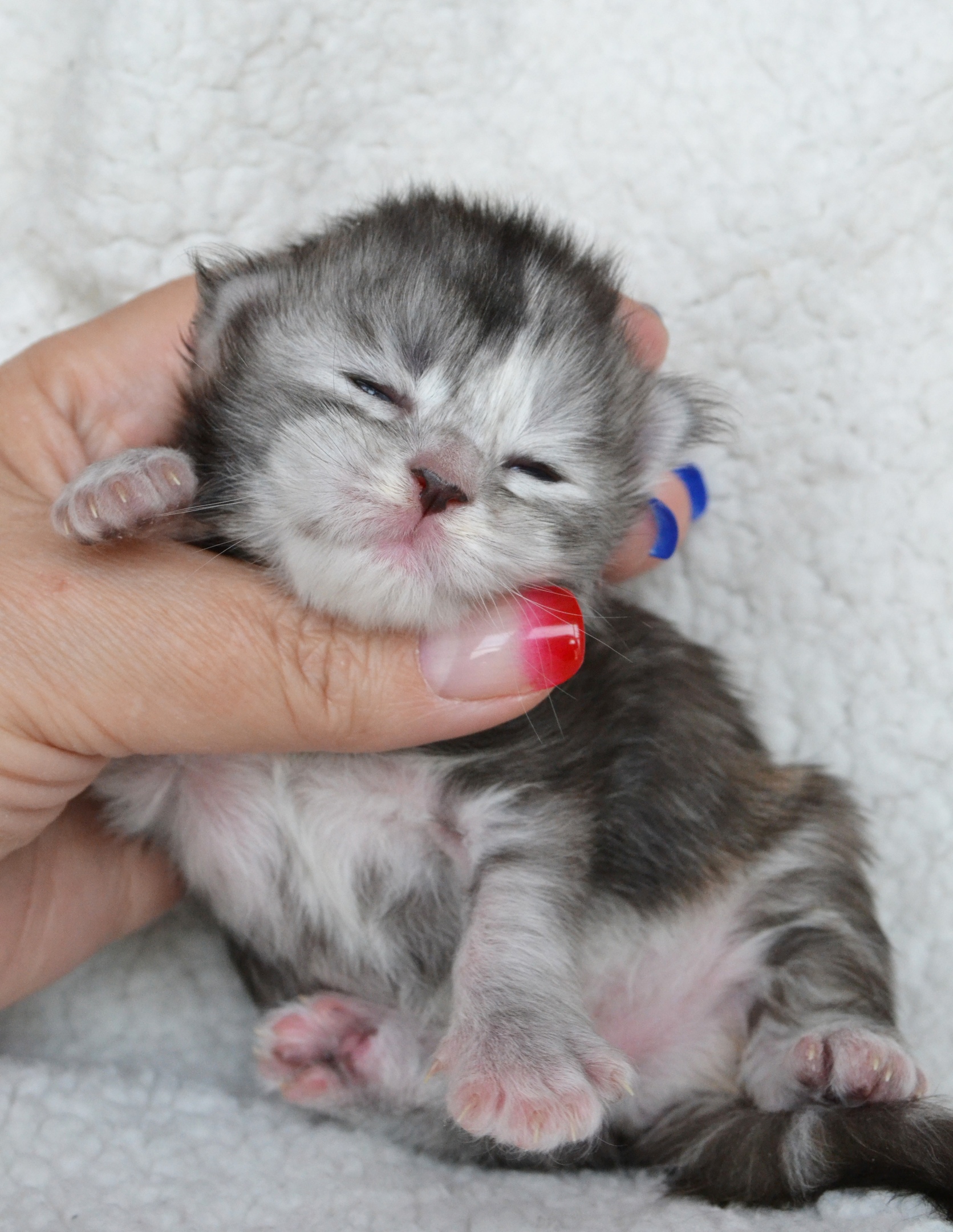 Аккуратно, я же хрупкий