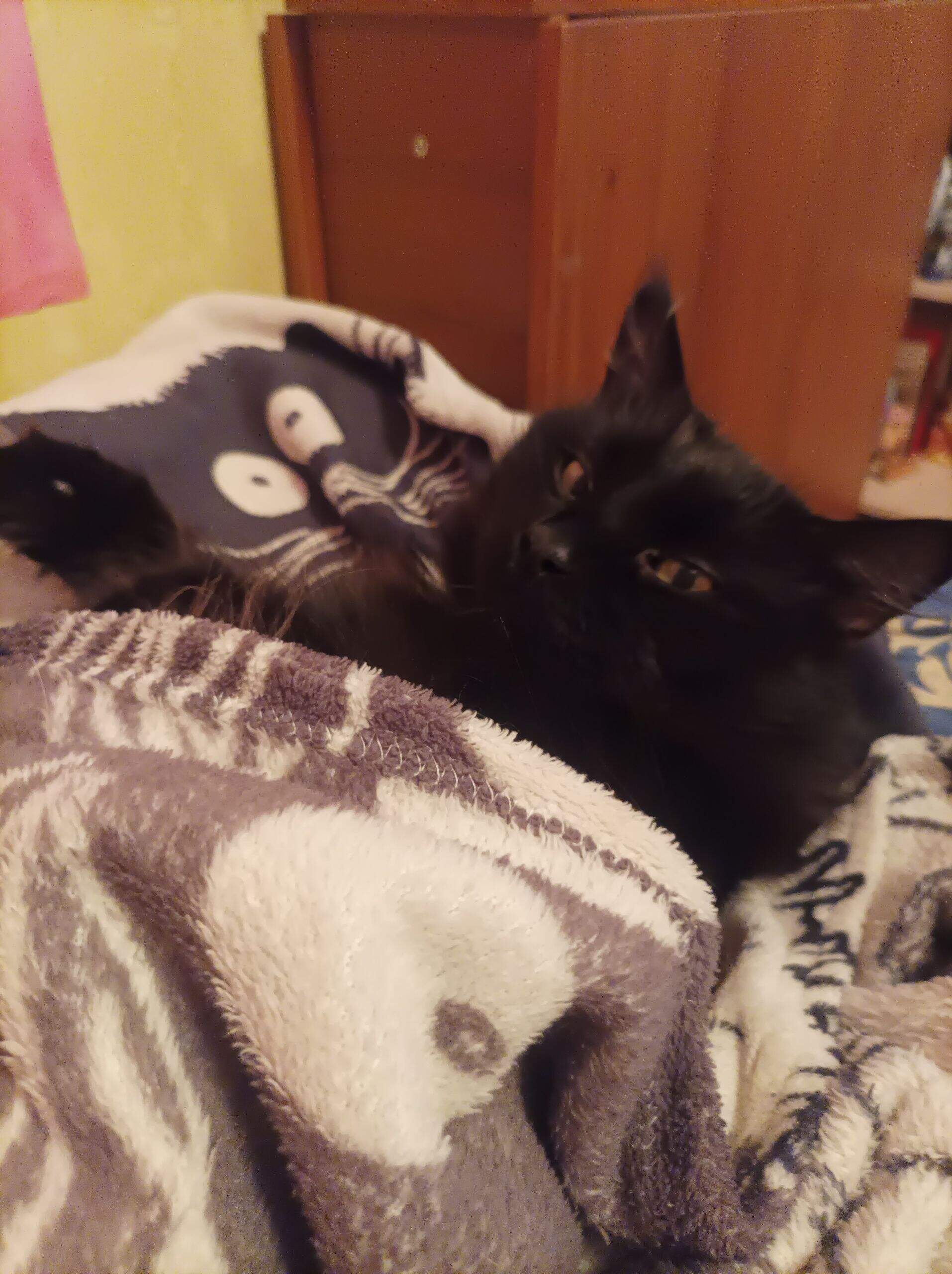 Да умылся я, можно теперь поспать