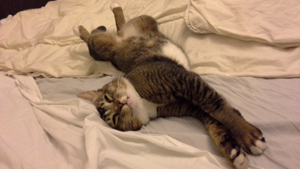 Целый день валяюсь я в постели и мне хорошо