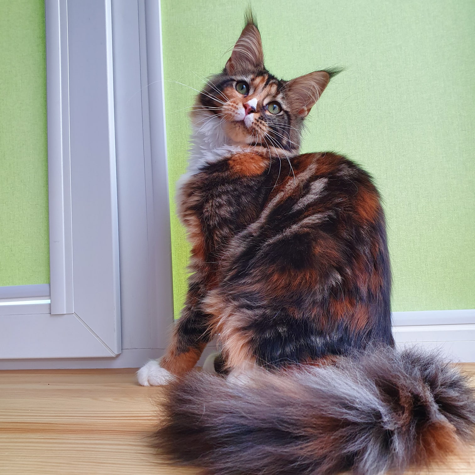 Выйти хочу, помогите даме