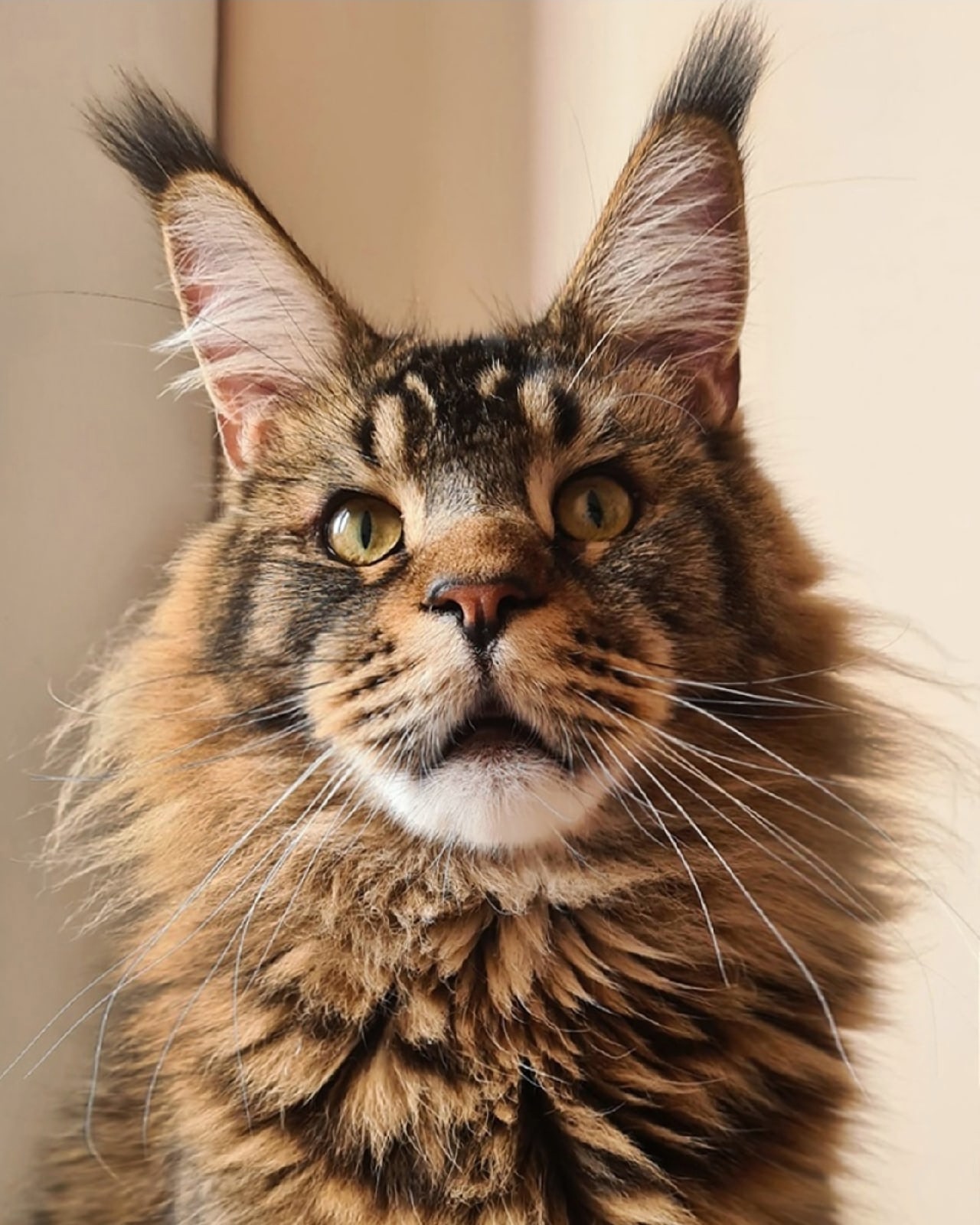 Что мы дома сидим, пошли гулять