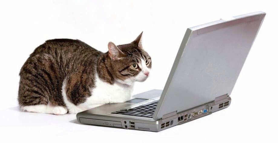 Продвинутый парень