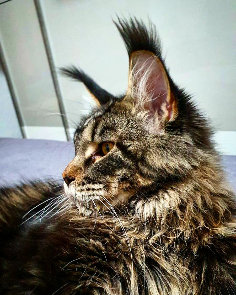 Кажется, мои просыпаются, значит скоро завтрак