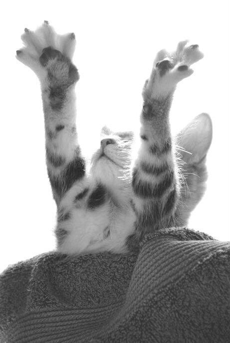 После ванны солнышко меня просушит