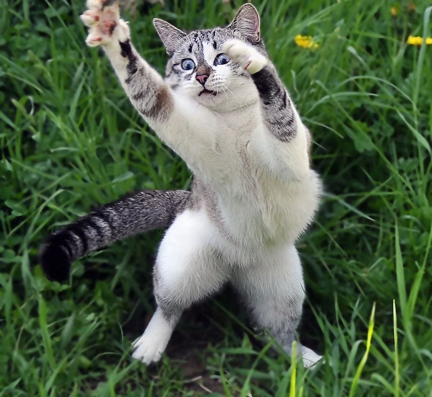 Стойте, давайте ещё погуляем