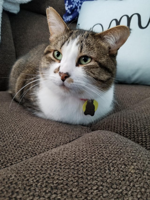 У меня сейчас нет желания общаться, подходите позже