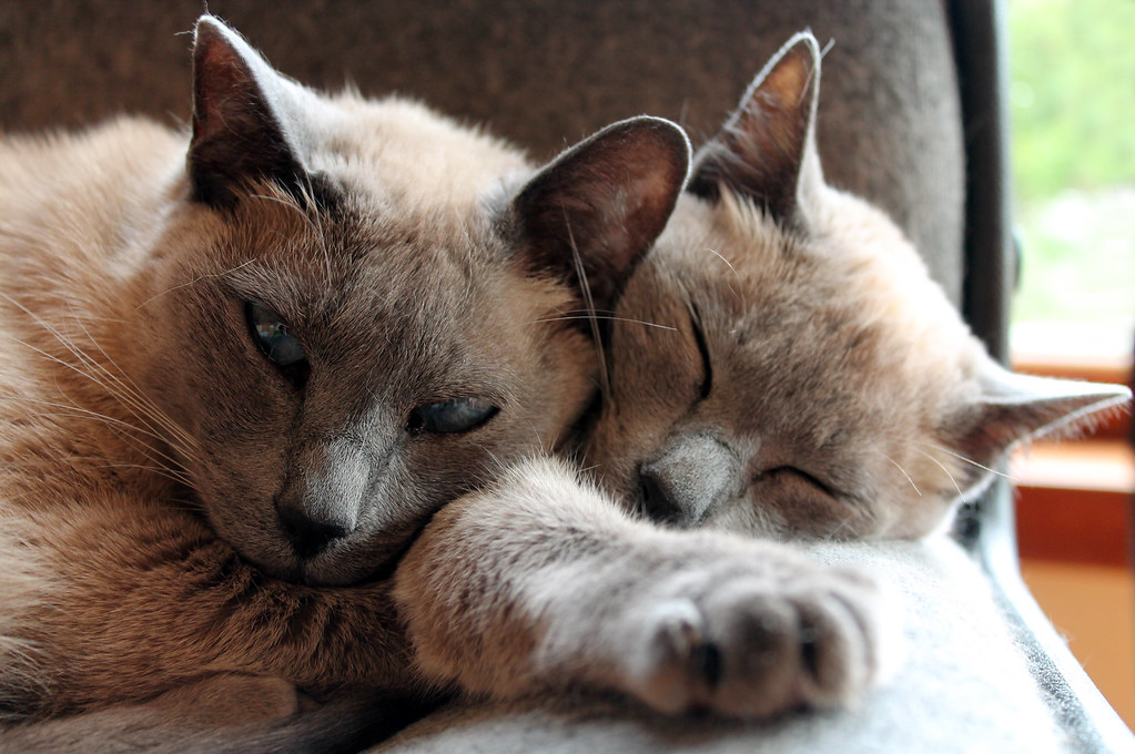 Дайте нам выспаться