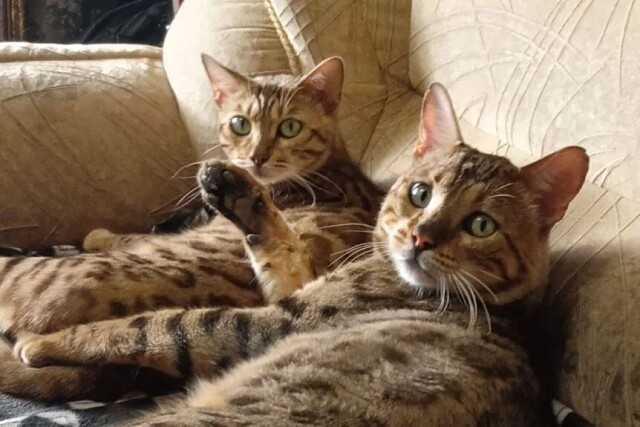 Хотите присоединиться к нашей беседе