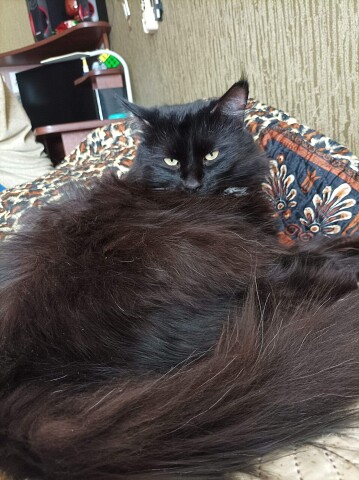 Лягте отдохните, берите с меня пример