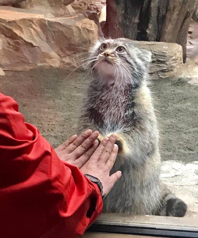 Мы с тобой одной крови