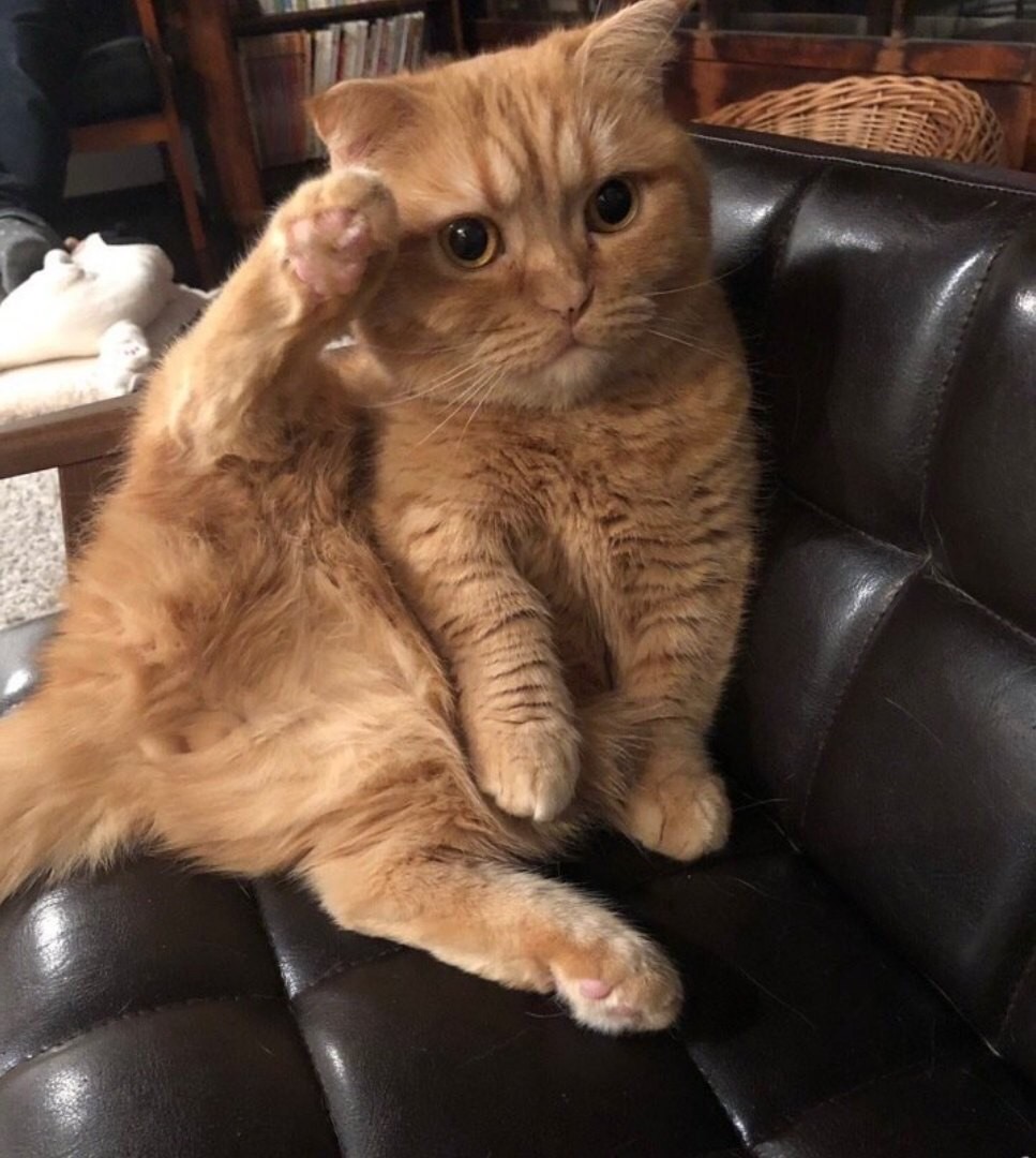 Не отвлекайте меня, дайте привести себя в порядок