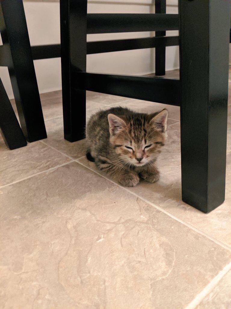 Что - то ужин запаздывает, я уже почти сплю