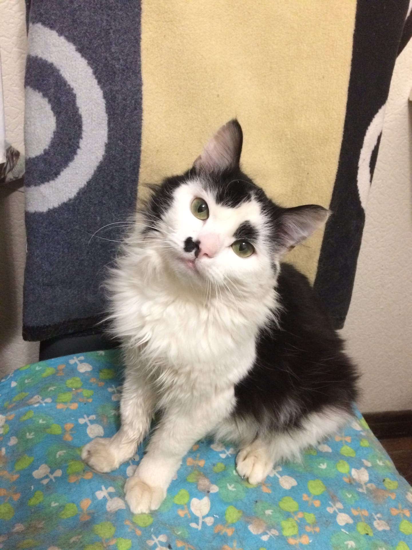 Вы б меня искупали, а то я языком не справляюсь