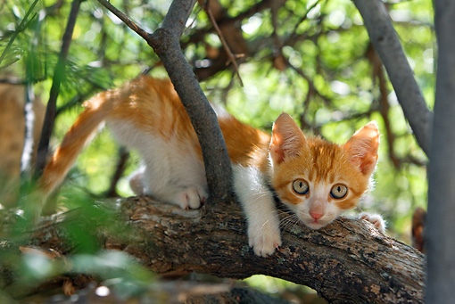 Слезть не могу