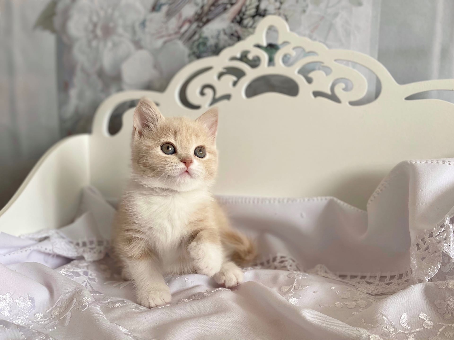 Мне нравится мой дом, тепло и уютно в нём