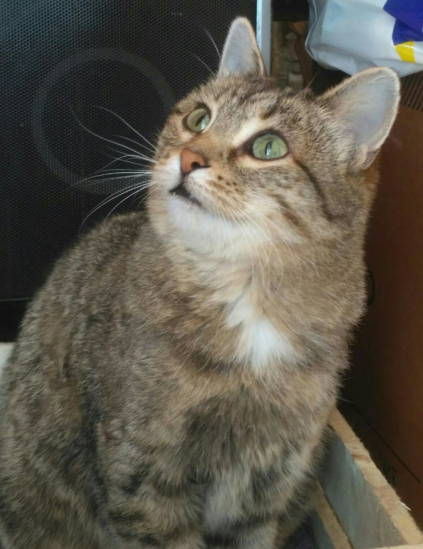 Этот ящик не отдам, я сказала