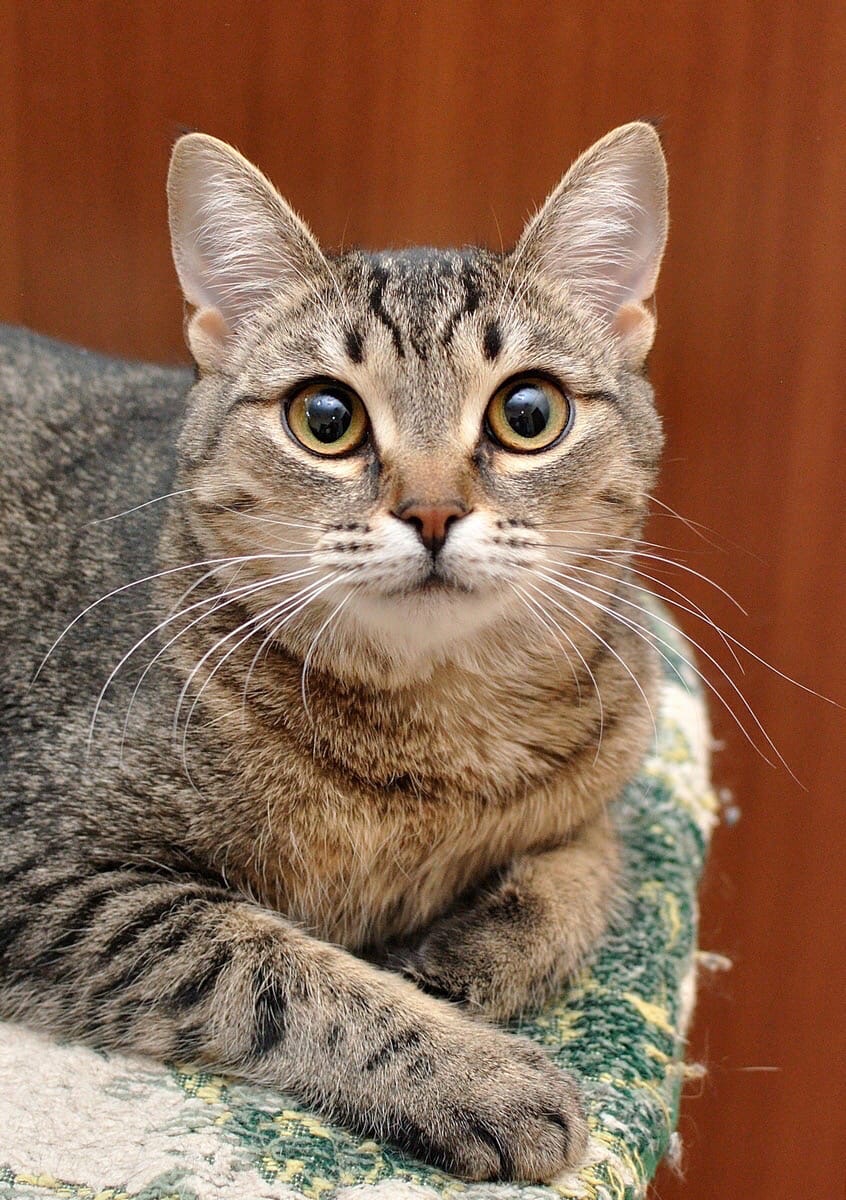 Заканчивайте дела и займитесь ужином