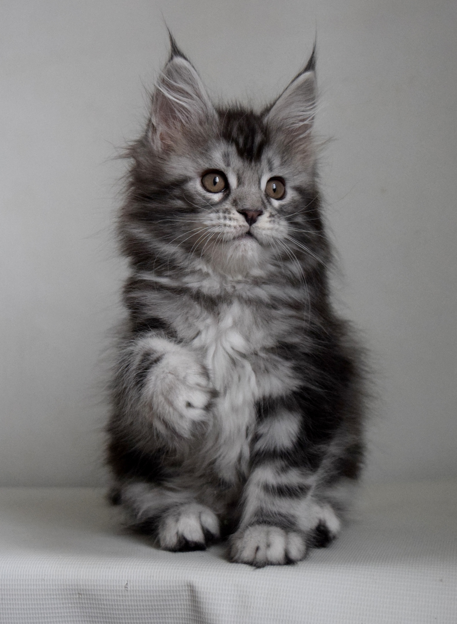 Поздоровайтесь с утра, жизнь улучшится тогда