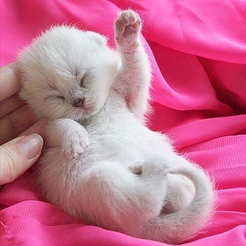 Детский сон крепок