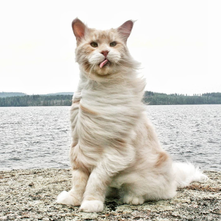 Ветер с моря дул, чуть менея не сдул