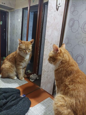 Ну умница же, ну красавица