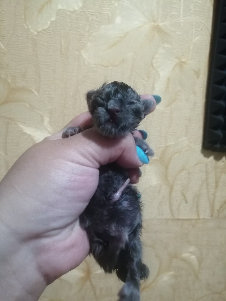 С днём рождения, меня