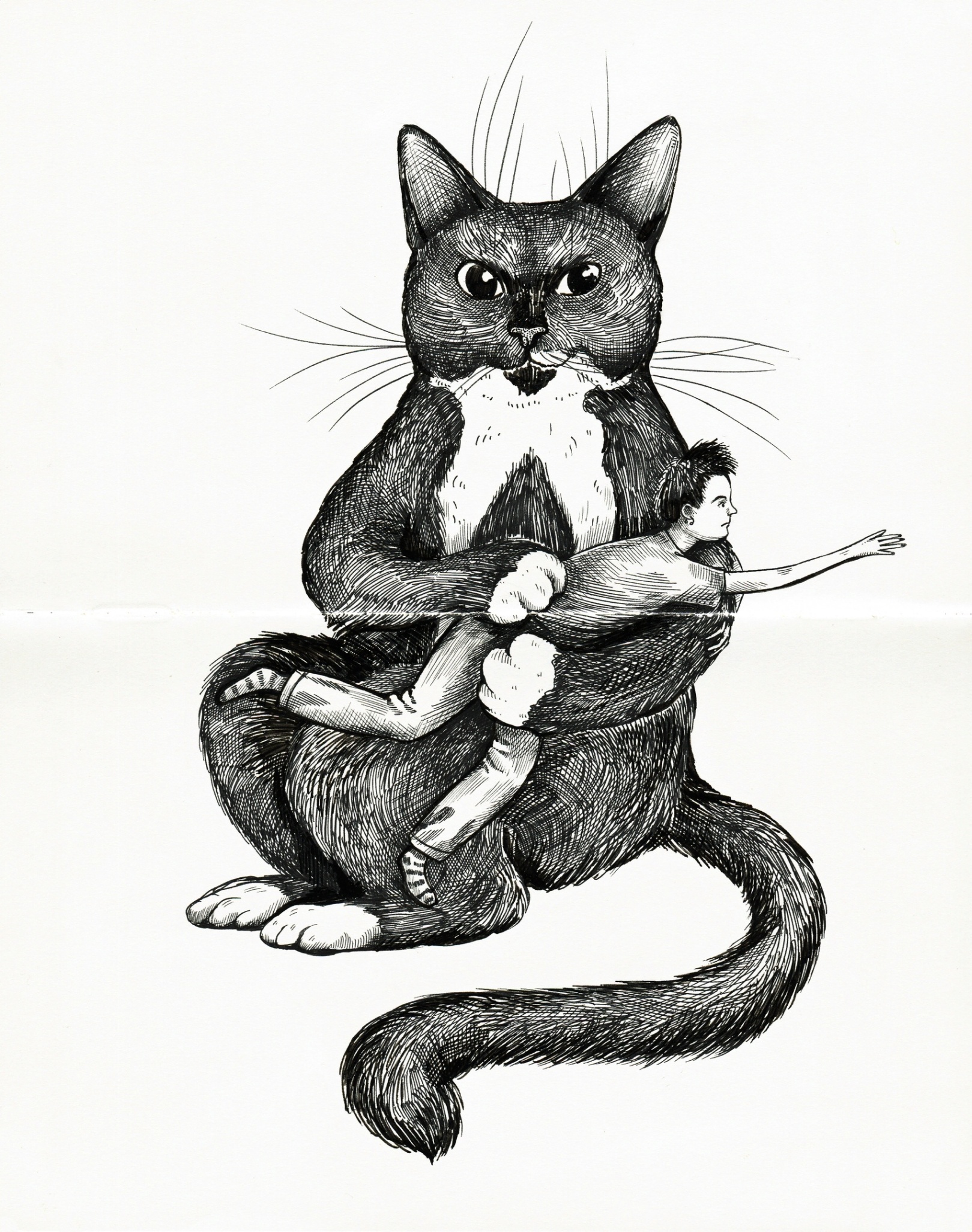 Кот и его человек