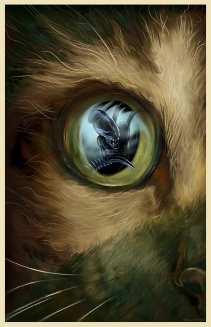 Мистический глаз кошки