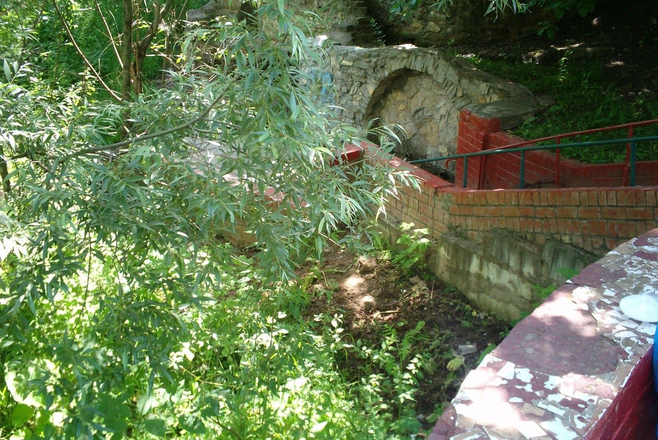 Там есть кошка