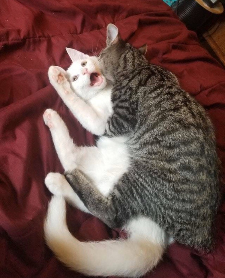 Кто победит