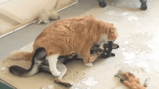 Лежи смирно грязнуля