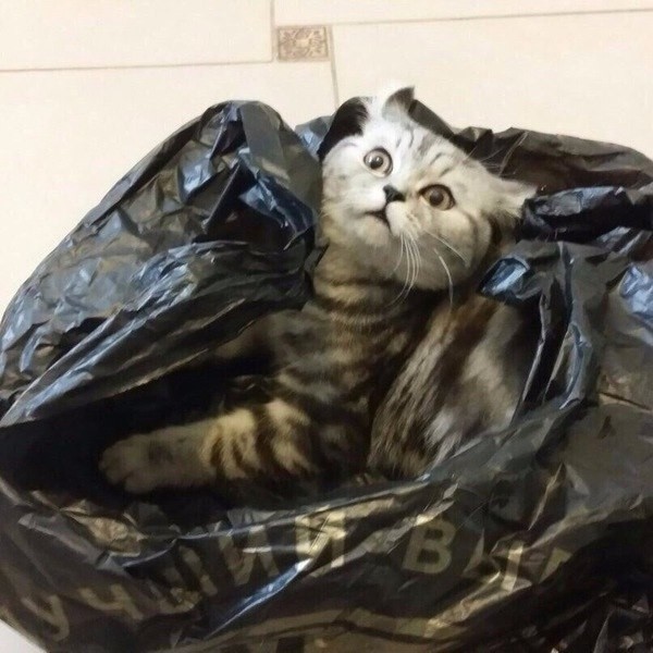 Полосатик в пакете