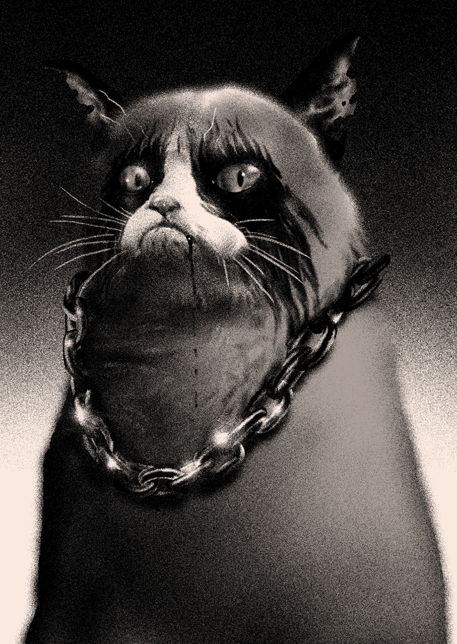 Кот с цепочкой