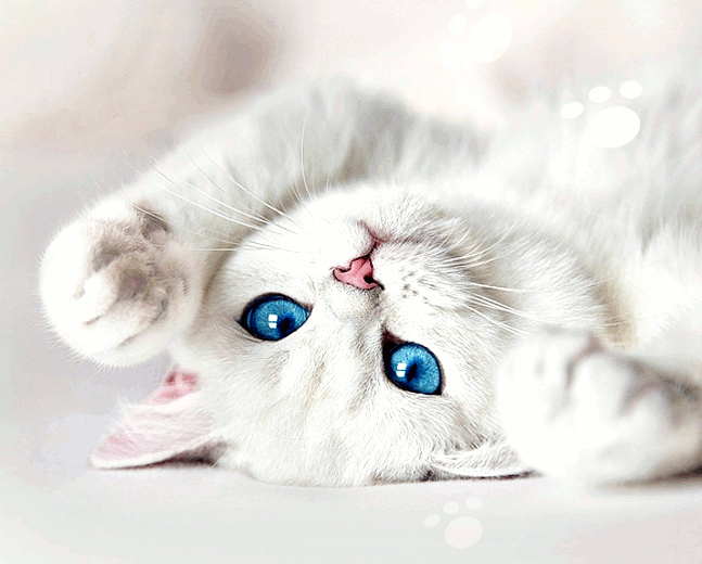 Голубоглазая блондинка