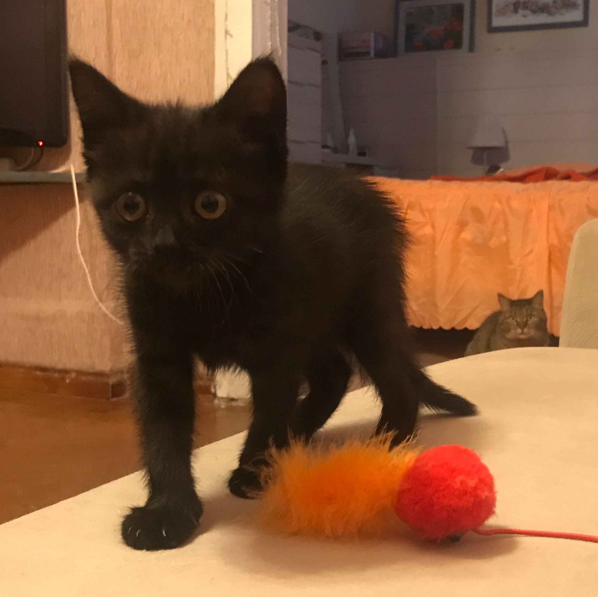 Маленький игруля