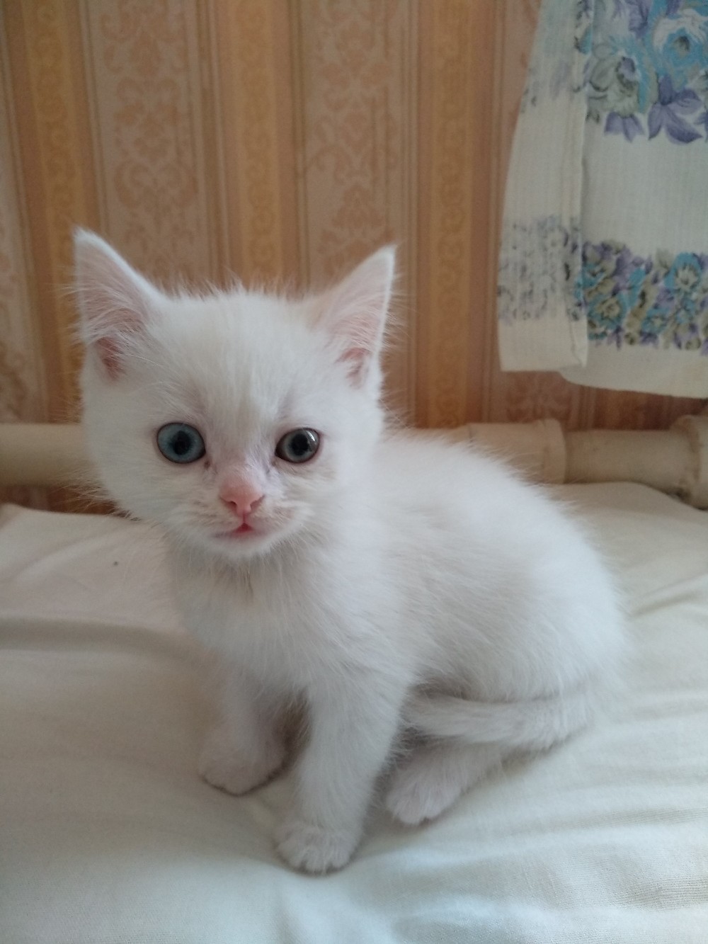 Будь счастлив красавчик