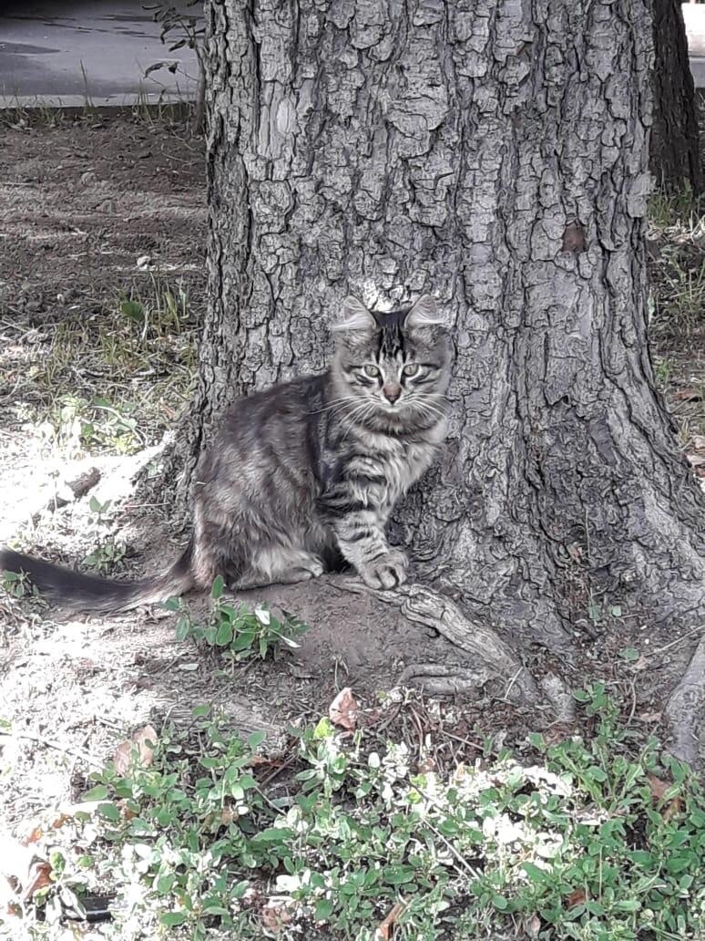 Остался в одиночестве