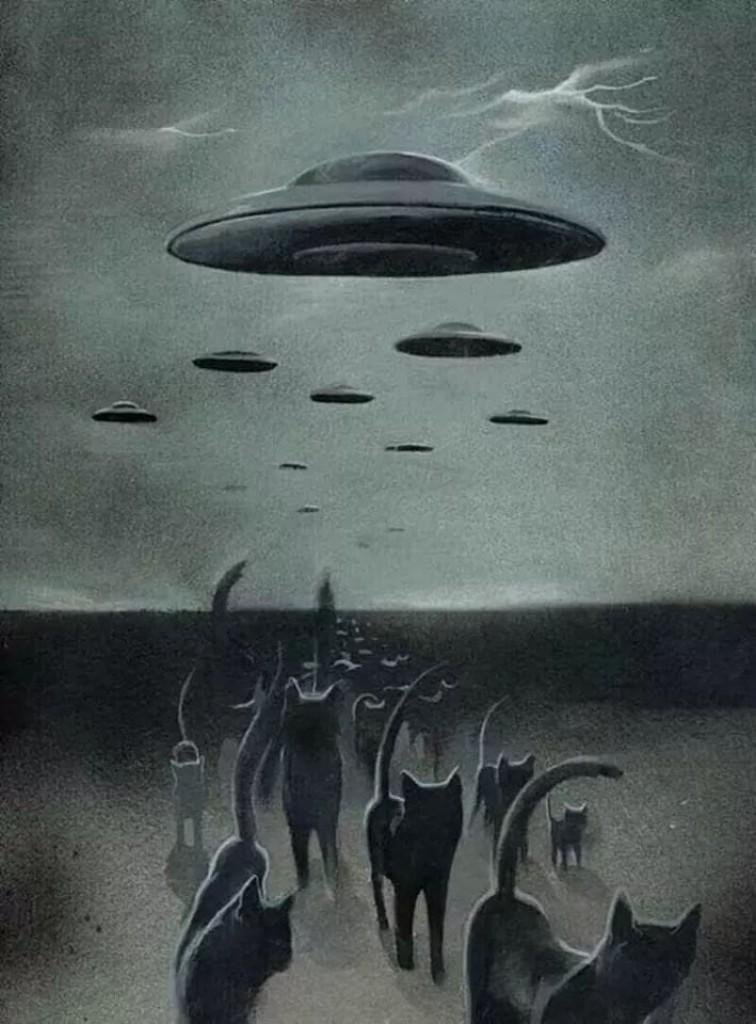 Кошки и нло