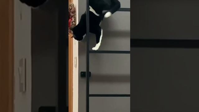 Первая обложка