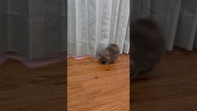 Первая обложка