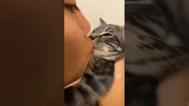 Первая обложка