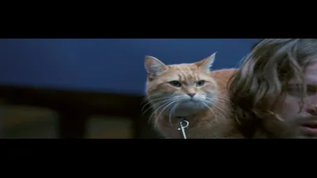 Первая обложка