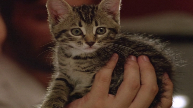 Первая обложка