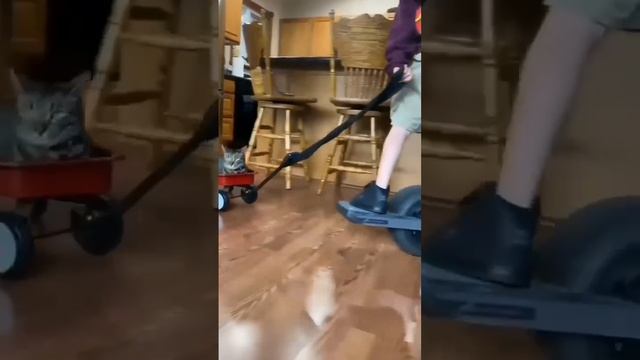 Первая обложка